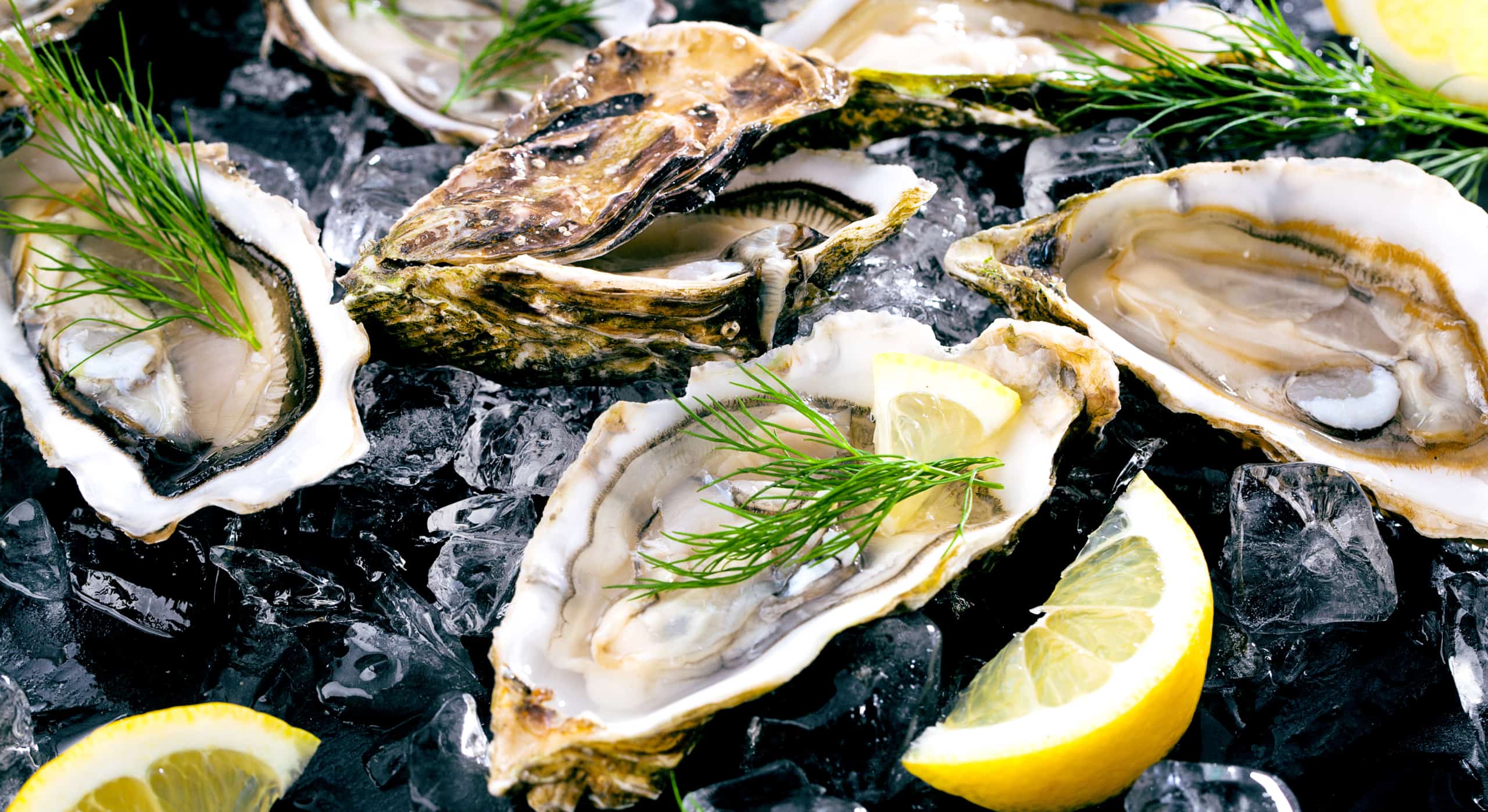 Borrel • 7evendenHemel